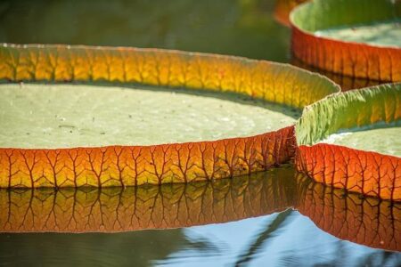 Tech Giants Announce Major Mergers and Acquisitions for 2025