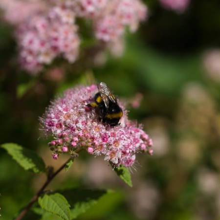 Safeguarding Success: The Role of Due Diligence in Compliance